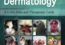 Veterinary Dermatology Books PDF | Vet eBooks