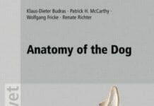 Anatomy of the Dog: An Illustrated Text 5th Edition