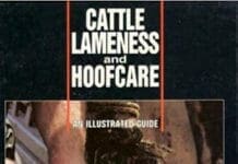 Cattle Lameness and Hoofcare An Illustrated Guide