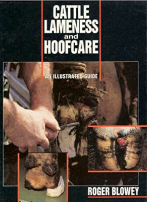 Cattle Lameness and Hoofcare An Illustrated Guide