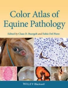 Color Atlas of Equine Pathology PDF