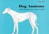 Dog Anatomy A Pictorial Approach to Canine Structure PDF