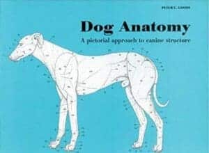 Dog Anatomy: A Pictorial Approach to Canine Structure PDF