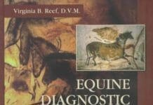 Equine Diagnostic Ultrasound PDF
