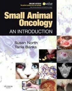 Small Animal Oncology An Introduction PDF
