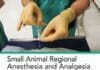 Small Animal Regional Anesthesia and Analgesia PDF