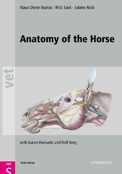 Anatomy of the Horse 6th Edition