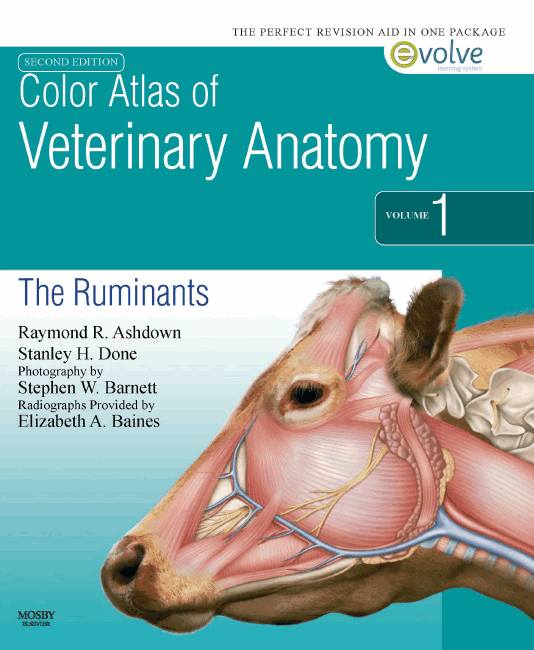 Color Atlas of Veterinary Anatomy The Ruminants 2nd Edition PDF