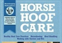 Horse Hoof Care: Healthy Hoof Care Practices, Horseshoeing, Hoof Handling, Working with Farriers and Vets