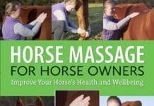 Horse Massage for Horse Owners Improve Your Horse's Health and Wellbeing