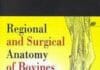 Regional and Surgical Anatomy of Bovines PDF