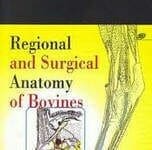 Regional and Surgical Anatomy of Bovines PDF