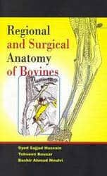 Regional and Surgical Anatomy of Bovines PDF