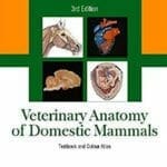 Veterinary Anatomy of Domestic Mammals 3rd Edition PDF