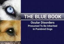 The Blue Book: Ocular Disorders Presumed to be Inherited in Purebred Dogs 8th Edition