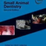 Blackwell's Five-Minute Veterinary Consult Clinical Companion: Small Animal Dentistry 2nd Edition PDF