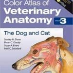 Color Atlas of Veterinary Anatomy, Volume 3, The Dog and Cat, 2nd Edition PDF