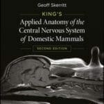 King's Applied Anatomy of the Central Nervous System of Domestic Mammals 2nd Edition PDF