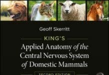 King's Applied Anatomy of the Central Nervous System of Domestic Mammals 2nd Edition PDF