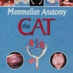 mammalian anatomy the cat pdf