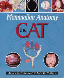 Mammalian Anatomy The Cat 2nd Edition