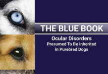 The Blue Book: Ocular Disorders Presumed to be Inherited in Purebred Dogs 8th Edition