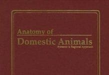 Anatomy of Domestic Animals Systemic and Regional Approach 5th Edition PDF Download By Chris Pasquini , Tom Spurgeon , Susan Pasquini