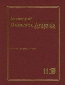 Anatomy of Domestic Animals Systemic and Regional Approach 5th Edition PDF Download By Chris Pasquini , Tom Spurgeon , Susan Pasquini