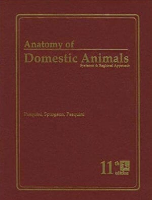 Pasquini Anatomy of Domestic Animals Systemic and Regional Approach 5th Edition