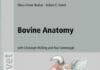Bovine Anatomy: An Illustrated Text 2nd Edition PDF By Klaus-Dieter Budras and Robert E. Habel