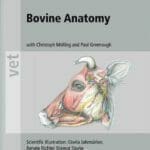 Bovine Anatomy: An Illustrated Text 2nd Edition PDF By Klaus-Dieter Budras and Robert E. Habel