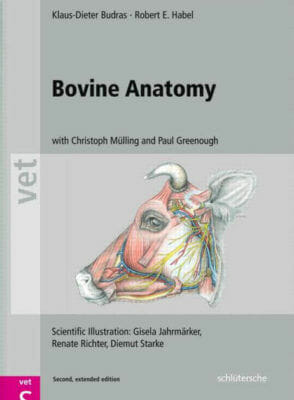 Bovine Anatomy: An Illustrated Text 2nd Edition PDF By Klaus-Dieter Budras and Robert E. Habel