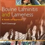 Bovine laminitis and lameness a hands on approach pdf
