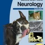 BSAVA Manual of Canine and Feline Neurology 4th Edition