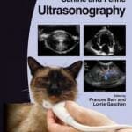 BSAVA Manual of Canine and Feline Ultrasonography