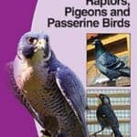 bsava-manual-of-raptors,-pigeons-and-passerine-birds