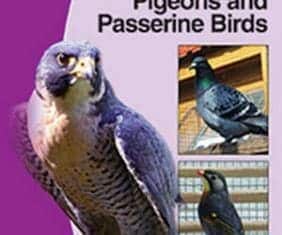 Bsava Manual Of Raptors Pigeons And Passerine Birds