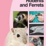  BSAVA Manual of Rodents and Ferrets PDF