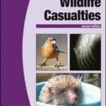 bsava-manual-of-wildlife-casualties,-2nd-edition