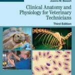 clinical anatomy and physiology for veterinary technicians pdf