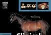 Clinical Anatomy of the Horse PDF