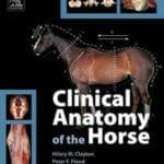 Clinical Anatomy of the Horse PDF By Hillary M. Clayton, Peter F. Flood and Diana S. Rosenstein