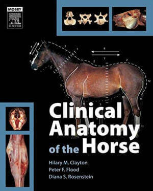Clinical Anatomy of the Horse PDF