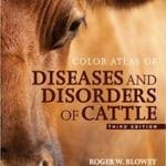 Color Atlas of Diseases and Disorders of Cattle 3rd Edition PDF