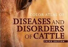 Color Atlas of Diseases and Disorders of Cattle 3rd Edition PDF