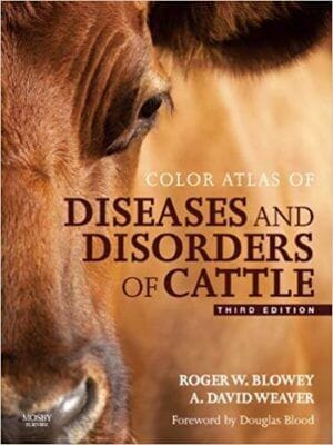 Color Atlas of Diseases and Disorders of Cattle 3rd Edition