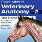 Color Atlas of Veterinary Anatomy, Volume 2, The Horse 2nd Edition By Raymond Ashdown and Stanley Done