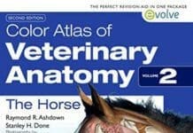 Color Atlas of Veterinary Anatomy, Volume 2, The Horse 2nd Edition By Raymond Ashdown and Stanley Done