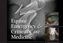 Equine Emergency and Critical Care Medicine PDF
