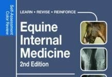 Equine Internal Medicine: Self-Assessment Color Review 2nd Edition PDF